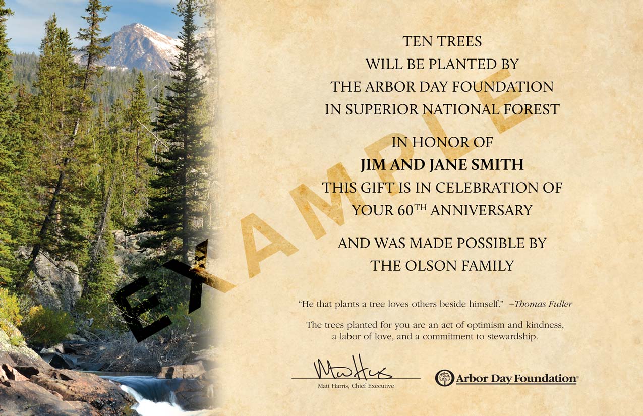 Trees in Celebration Sample Certificate